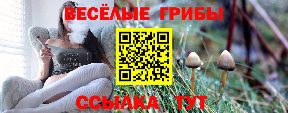 Псилоцибиновые грибы Magic Shrooms  Вход с VPN  Уссурийск 